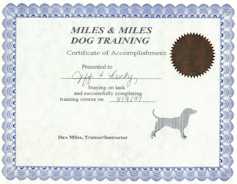 Check out Miles and Miles Dog Training!